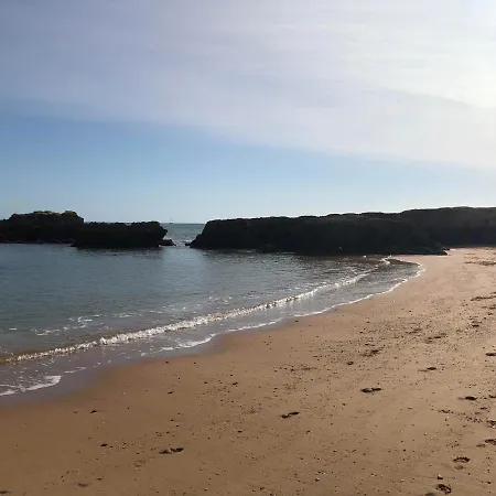 Magnifique Sur La ... Apartament