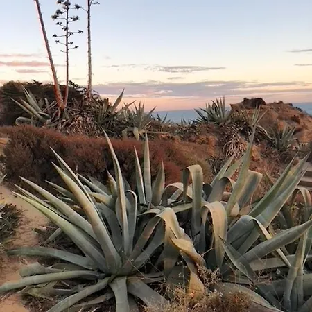 Magnifique Sur La ... Апартаменты